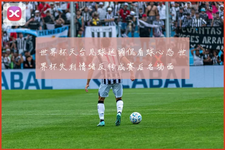 世界杯天台见球迷调侃看球心态 世界杯失利情绪反转成赛后名场面