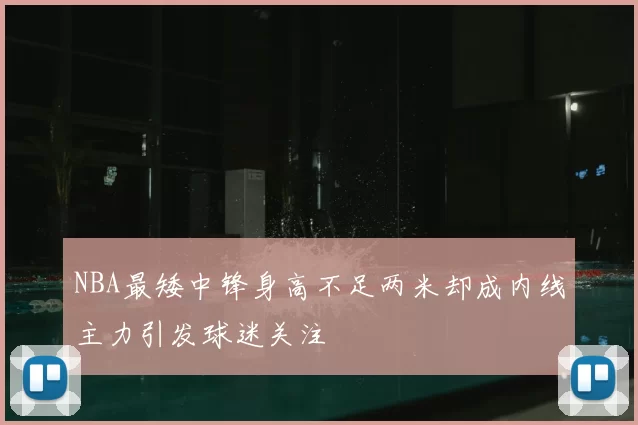 NBA最矮中锋身高不足两米却成内线主力引发球迷关注