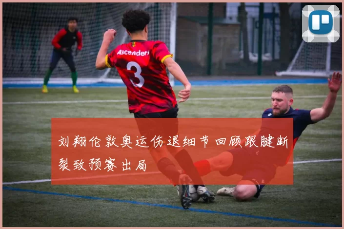 刘翔伦敦奥运伤退细节回顾跟腱断裂致预赛出局