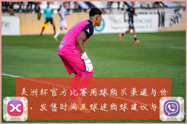 美洲杯官方比赛用球购买渠道与价格、发售时间及球迷购球建议与影响