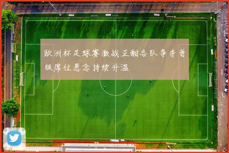 欧洲杯足球赛激战正酣各队争夺晋级席位悬念持续升温