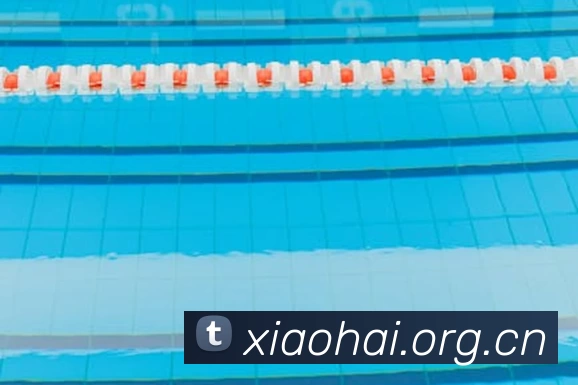 九游·官方站入口 - JiuYou j9(中国)发展历程